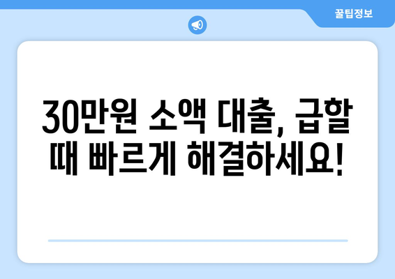 인천광역시 연수구 청학동 주부 소액 30만원 대출