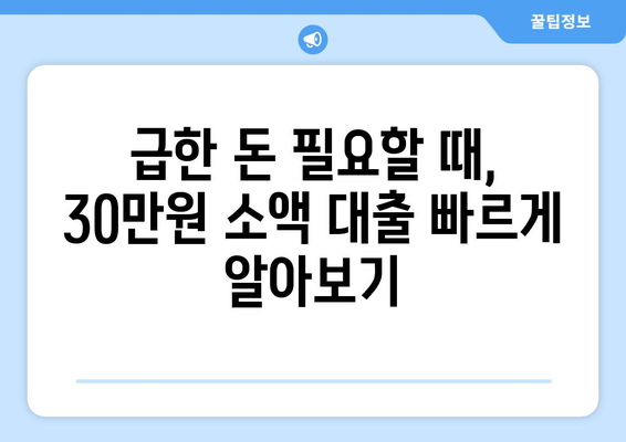 전라남도 목포시 대양동 주부 소액 30만원 대출