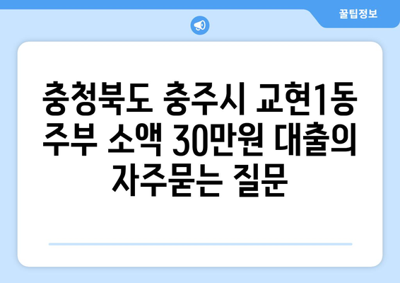 충청북도 충주시 교현1동 주부 소액 30만원 대출