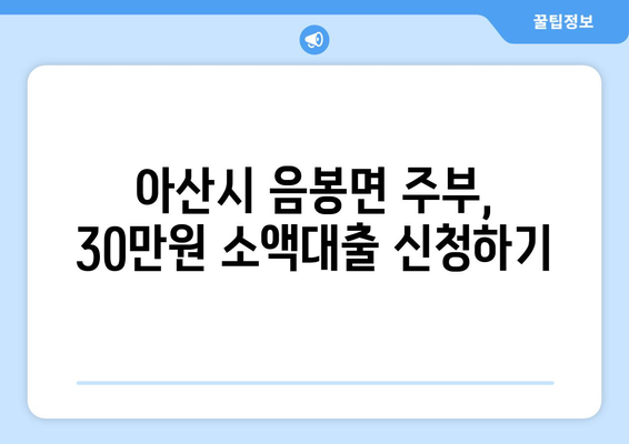 충청남도 아산시 음봉면 주부 소액 30만원 대출