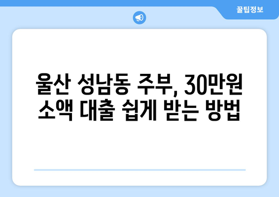 울산광역시 중구 성남동 주부 소액 30만원 대출