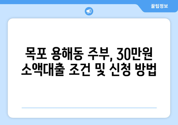 전라남도 목포시 용해동 주부 소액 30만원 대출