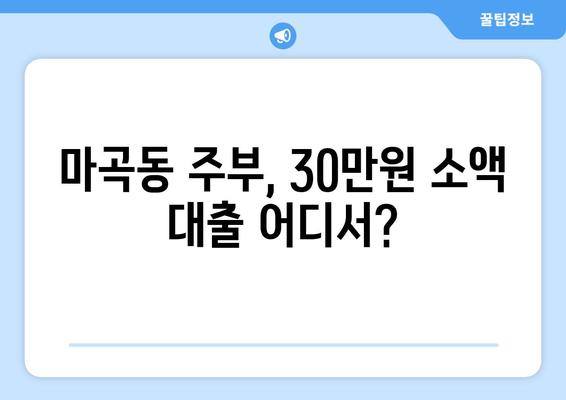 서울특별시 강서구 마곡동 주부 소액 30만원 대출