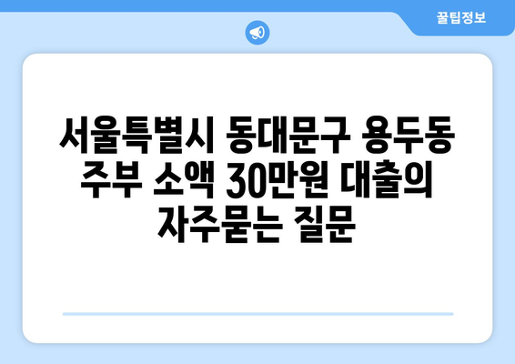 서울특별시 동대문구 용두동 주부 소액 30만원 대출