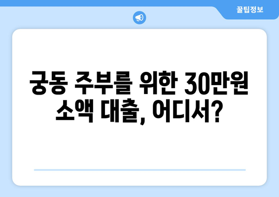 대전광역시 유성구 궁동 주부 소액 30만원 대출