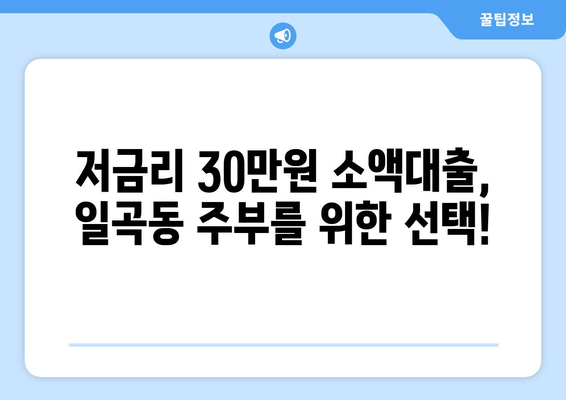 광주광역시 북구 일곡동 주부 소액 30만원 대출