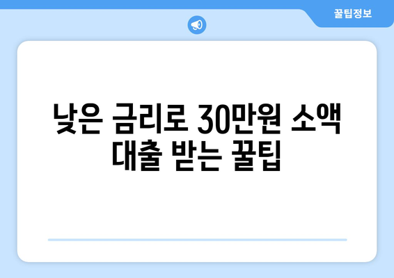 서울특별시 송파구 가락동 주부 소액 30만원 대출