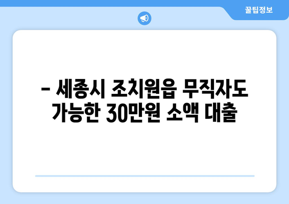 세종특별자치시 세종시 조치원읍 무직자 소액 30만원 대출