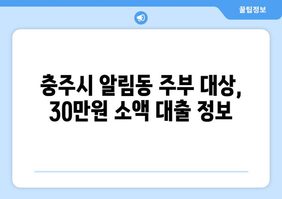 충청북도 충주시 알림동 주부 소액 30만원 대출