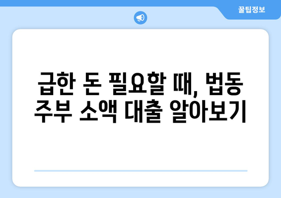 대전광역시 대덕구 법동 주부 소액 30만원 대출