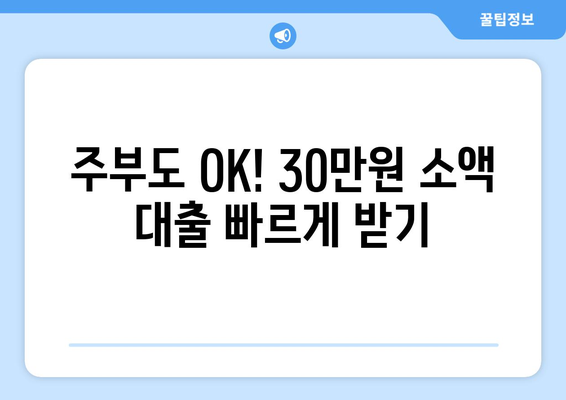 인천광역시 북구 검단동 주부 소액 30만원 대출