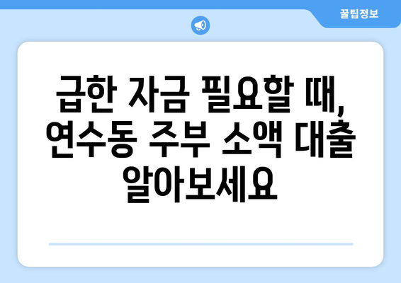 충청북도 충주시 연수동 주부 소액 30만원 대출