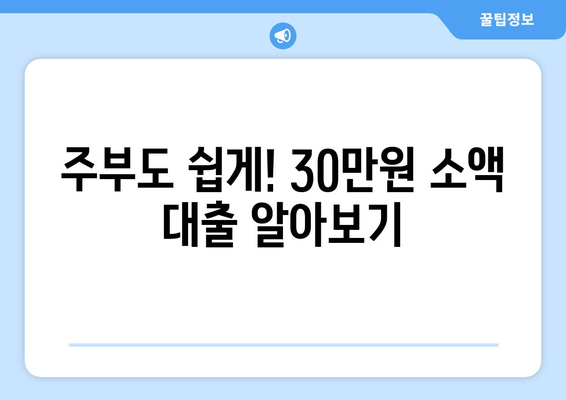 수원시 영통구 영통동 주부 소액 30만원 대출