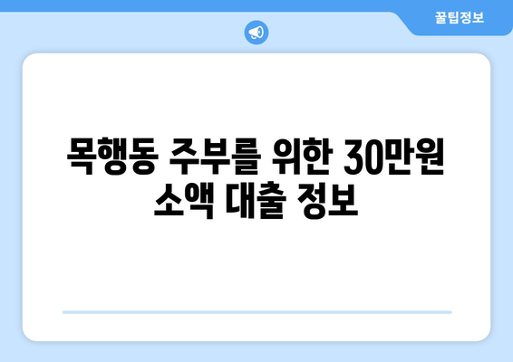 충청북도 충주시 목행동 주부 소액 30만원 대출