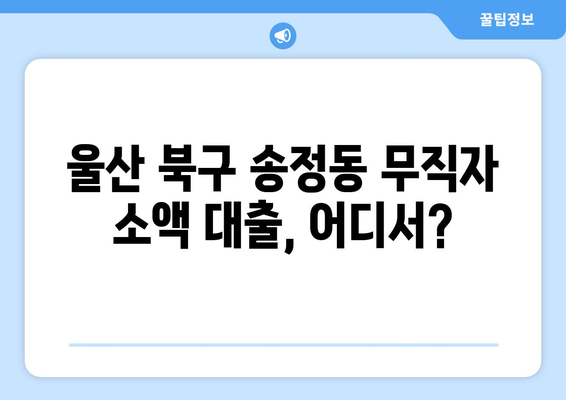 울산광역시 북구 송정동 무직자 소액 30만원 대출