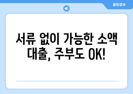 서울특별시 광진구 자양동 주부 소액 30만원 대출