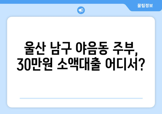 울산광역시 남구 야음동 주부 소액 30만원 대출