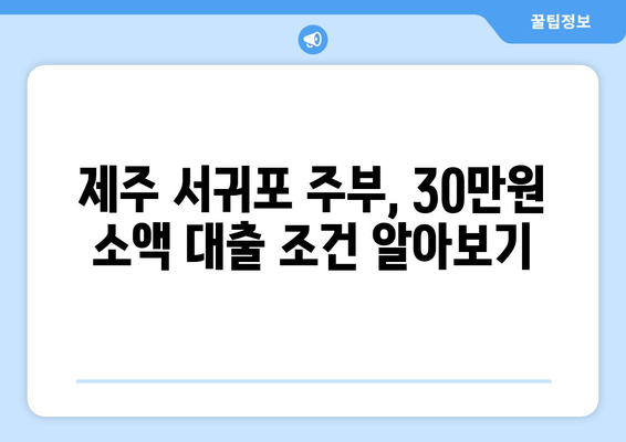 제주특별자치도 제주시 서귀포 주부 소액 30만원 대출