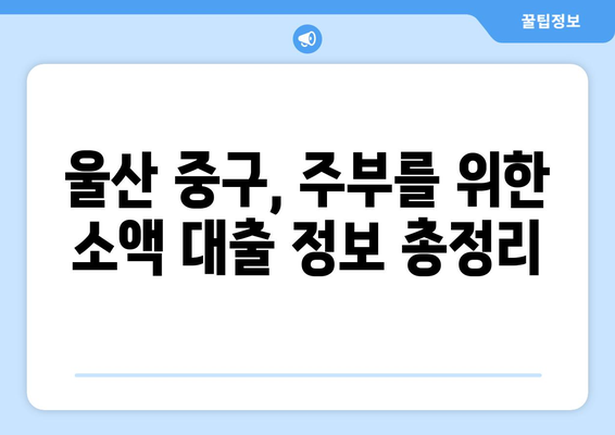 울산광역시 중구 성남동 주부 소액 30만원 대출