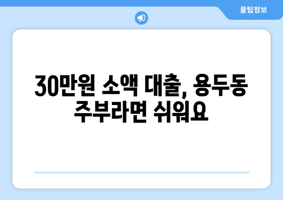 서울특별시 동대문구 용두동 주부 소액 30만원 대출