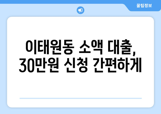 서울특별시 용산구 이태원동 무직자 소액 30만원 대출