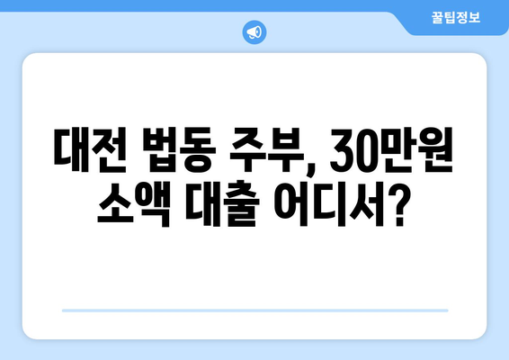 대전광역시 대덕구 법동 주부 소액 30만원 대출