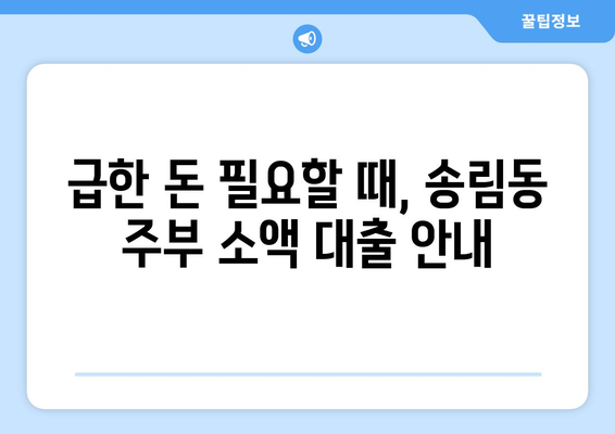 인천광역시 동구 송림동 주부 소액 30만원 대출