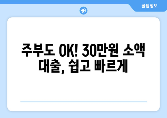 서울특별시 동대문구 답십리동 주부 소액 30만원 대출