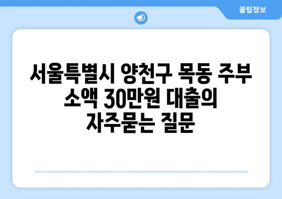 서울특별시 양천구 목동 주부 소액 30만원 대출