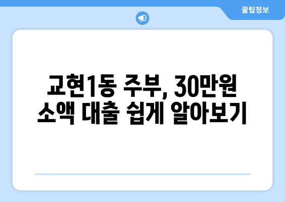 충청북도 충주시 교현1동 주부 소액 30만원 대출