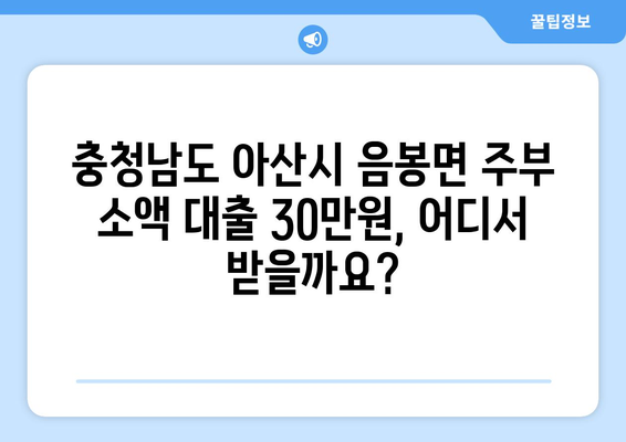 충청남도 아산시 음봉면 주부 소액 30만원 대출