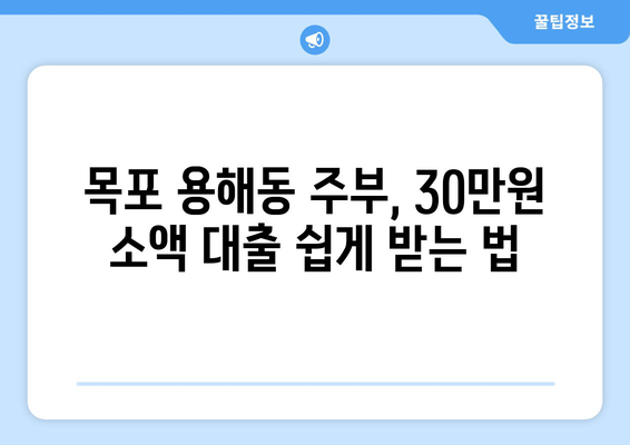 전라남도 목포시 용해동 주부 소액 30만원 대출