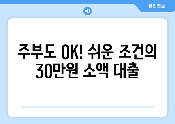 서울특별시 동대문구 휘경동 주부 소액 30만원 대출