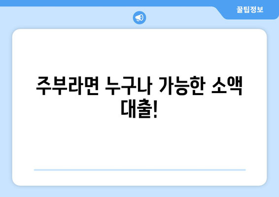 울산광역시 남구 선암동 주부 소액 30만원 대출