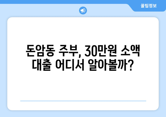 서울특별시 성북구 돈암동 주부 소액 30만원 대출