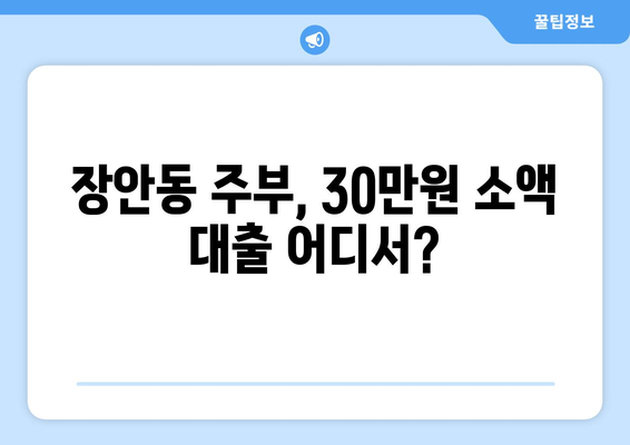 서울특별시 동대문구 장안동 주부 소액 30만원 대출