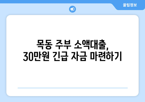 서울특별시 양천구 목동 주부 소액 30만원 대출