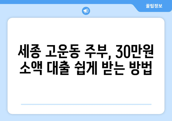 세종특별자치시 고운동 주부 소액 30만원 대출