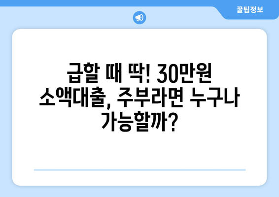 서울특별시 양천구 목동 주부 소액 30만원 대출