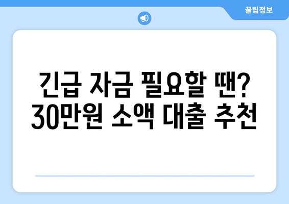 광주광역시 남구 진월동 주부 소액 30만원 대출