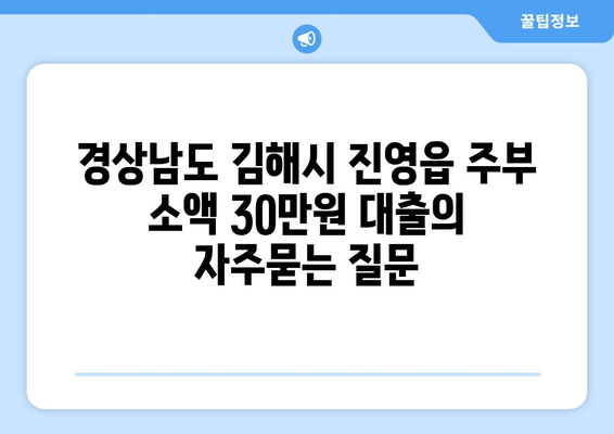 경상남도 김해시 진영읍 주부 소액 30만원 대출