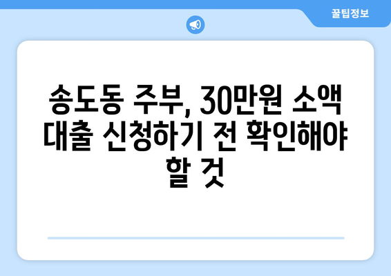 인천광역시 연수구 송도동 주부 소액 30만원 대출