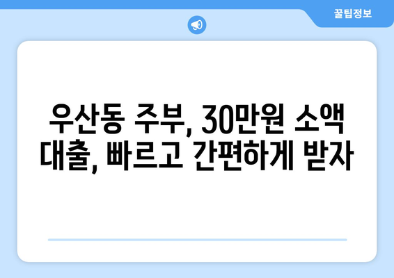 광주광역시 광산구 우산동 주부 소액 30만원 대출