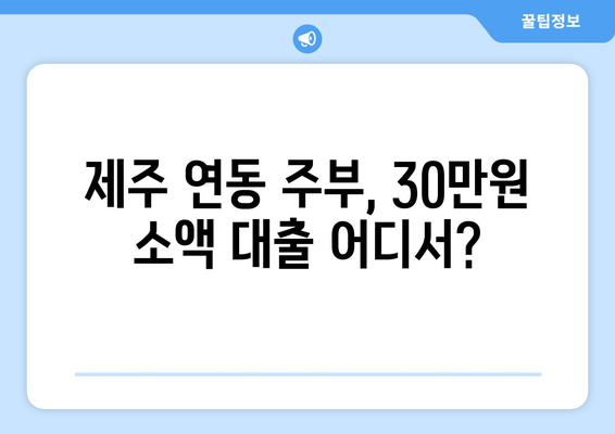 제주특별자치도 제주시 연동 주부 소액 30만원 대출