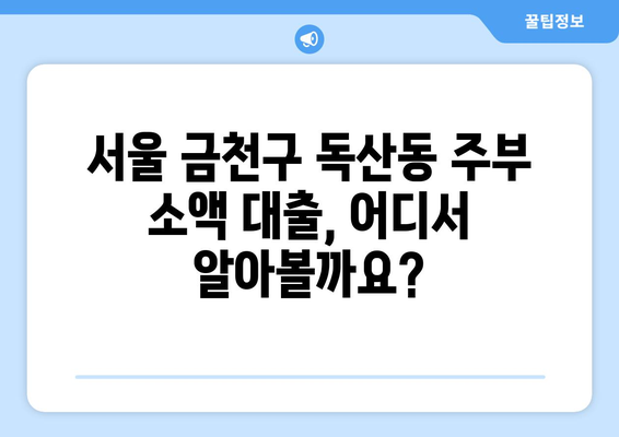 서울특별시 금천구 독산동 주부 소액 30만원 대출