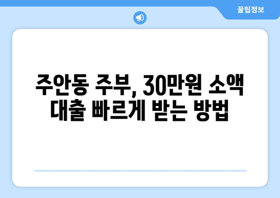 인천광역시 남구 주안동 주부 소액 30만원 대출