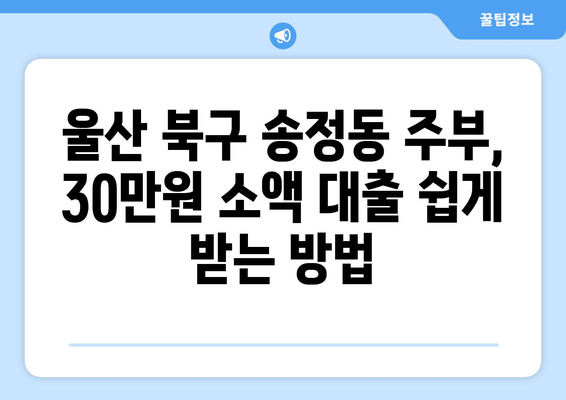 울산광역시 북구 송정동 주부 소액 30만원 대출