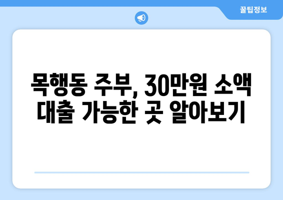 충청북도 충주시 목행동 주부 소액 30만원 대출