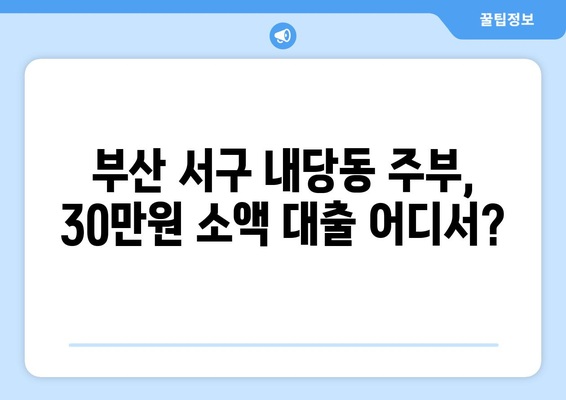 부산광역시 서구 내당동 주부 소액 30만원 대출