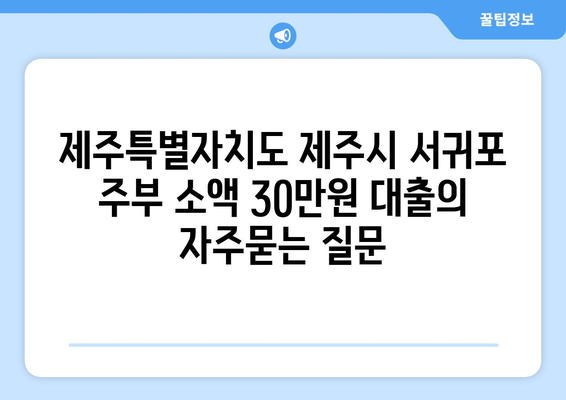 제주특별자치도 제주시 서귀포 주부 소액 30만원 대출